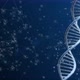 DNA Background - VideoHive Item for Sale