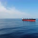 A large ship for transporting bulk cargo across the ocean - VideoHive Item for Sale