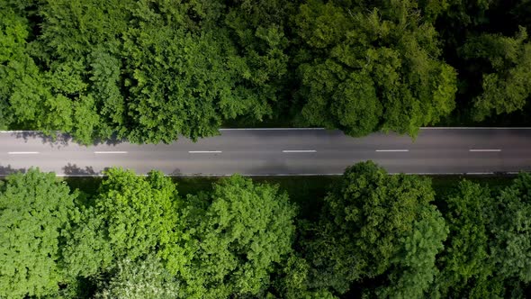 Fly by shot from a drone, following a white car in the middle of a forest street from the above aeri