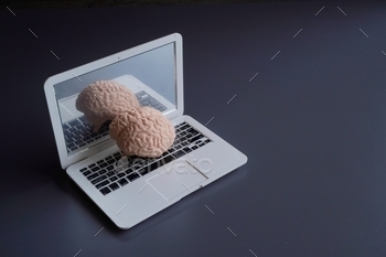 Human brain on top of laptop with copy space.