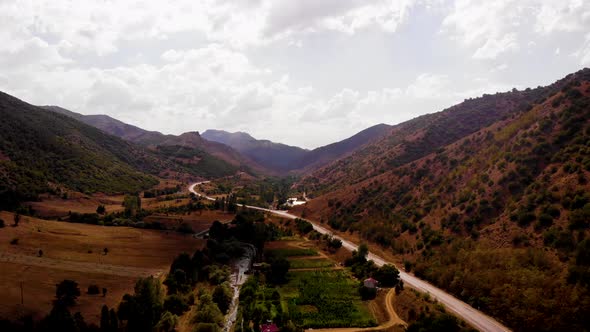 Mountains Forest and Houses