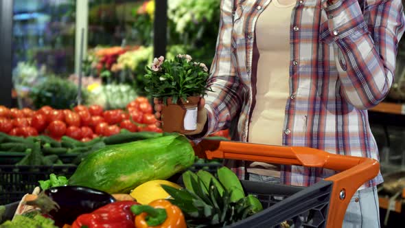 Woman Chooses Houseplant at the Hypermarket