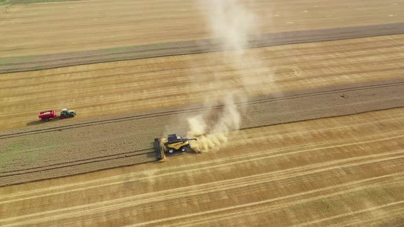 Harvester Harvests Wheat Crop On Field