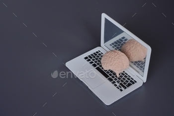 Human brain on top of laptop with copy space.