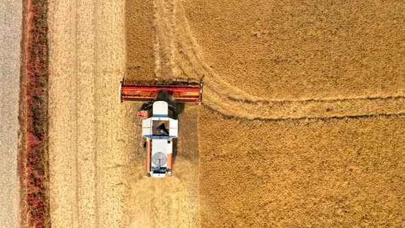 Top view of harvester working on golden field, aerial view
