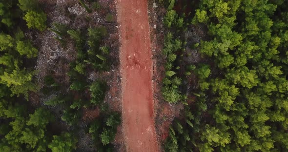 Green forest red road 4k