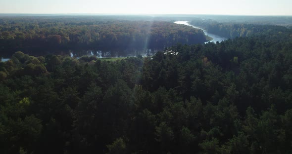 Winding River in a Dense Forest on a Sunny Day