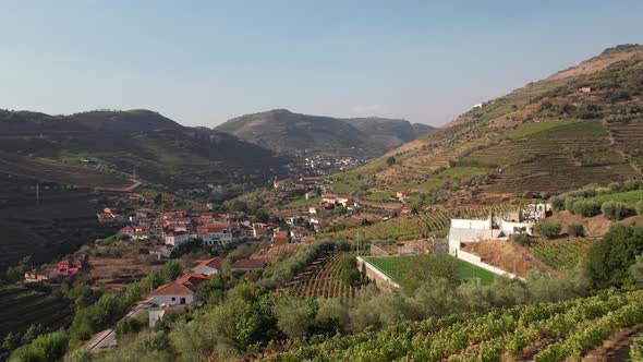 Vineyards Plantation. Douro, Portugal