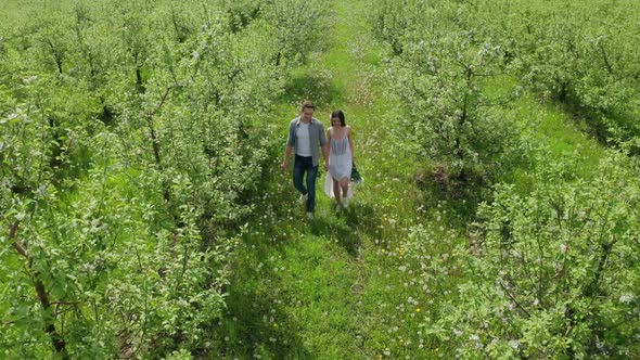 Drone Shot of Happy Couple Walking Among Trees