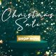 Christmas Sale - VideoHive Item for Sale