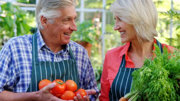 Mature couple checking tomatoes