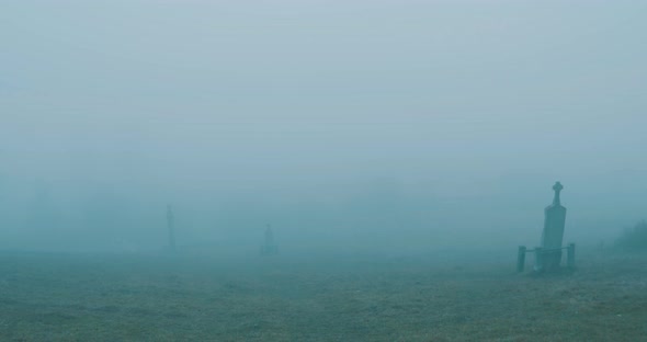 Walking On Misty Cemetery