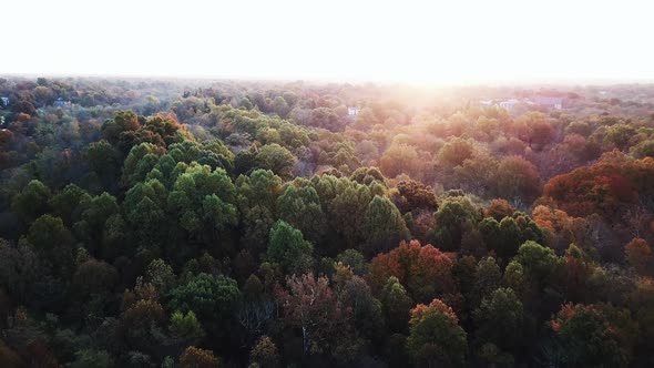 4k Aerial View of Drone Flying above the stunning colorful treetops in Louisville on Autumn Morning