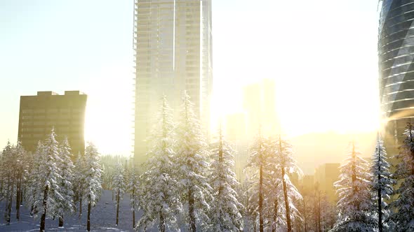 City and Forest in Snow