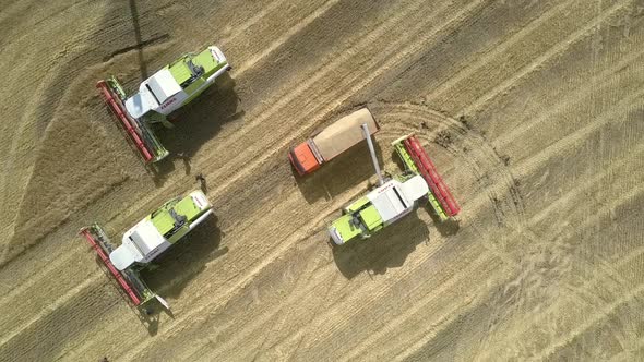 Vertical Aerial Harvesters and Loaded Truck Stand on Field