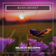 Bush Crickets Loop 4