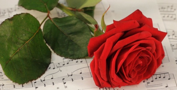 Red Rose On Classical Sheet Music