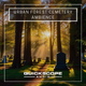 Forest Cemetery Ambience 1 - AudioJungle Item for Sale