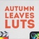 Autumn Leaves LUTs | FCPX - VideoHive Item for Sale