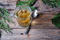 Fennel infusion on rustic table - PhotoDune Item for Sale