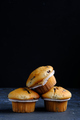 Homemade Chocolate Chip Muffins - PhotoDune Item for Sale