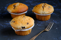 Homemade Chocolate Chip Muffins - PhotoDune Item for Sale