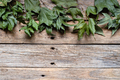 Dry leaves on wood background - PhotoDune Item for Sale