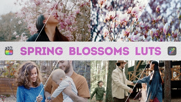 Spring Blossoms LUTs | FCPX