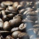 coffee beans with smoke in slow motion. - VideoHive Item for Sale