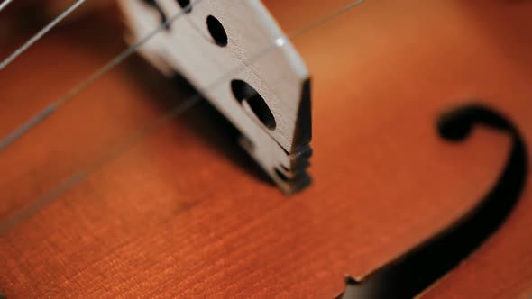 Part of aged violin on black background