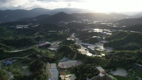 Cameron Highlands, Pahang Malaysia