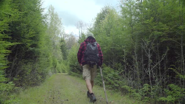 An older man hiking in a scenic forest.