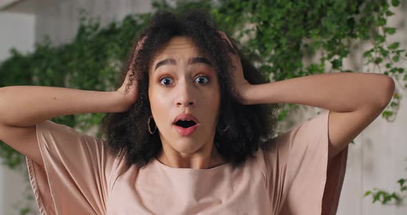 Portrait of Young Successful Surprised Afro American Curly Girl Black Woman Feeling Amazement Wonder