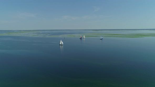 Aerial Drone Footage of Regatta or Sailing Race at Dnipro River