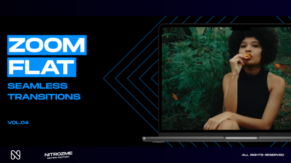 Zoom Flat Transitions Vol. 04 alt