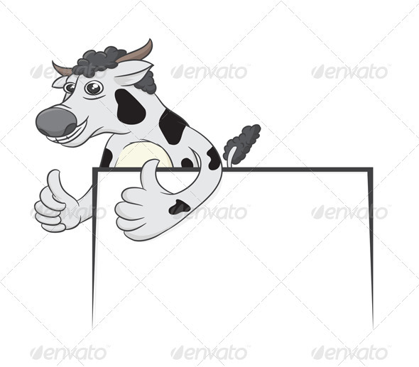 Cow and White Board