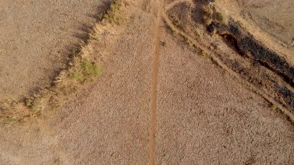 Pan up drone shot of a dry Indian hillside step farm