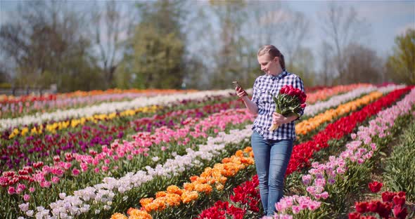 Woman Holding Tulips Bouquet in Hands While Taking Selfie Photo on Tulips Field