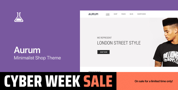 Aurum - WordPress & WooCommerce Shopping Theme