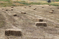 Hay bales in the field  - PhotoDune Item for Sale