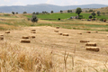 Hay bales in the field  - PhotoDune Item for Sale