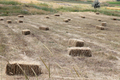 Hay bales in the field - PhotoDune Item for Sale