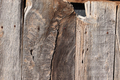 Close up detail of old barn wood. - PhotoDune Item for Sale