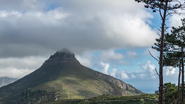 Cape Town Surroundings