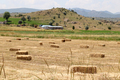 Hay bales in the field  - PhotoDune Item for Sale