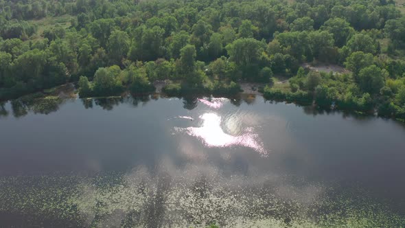 Moving Forward Over the Green Northern Forests on the Bay