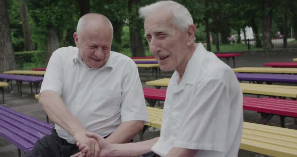 Two Modest Older Men Shaking Hands with Smiles on Faces During Talk in a Park