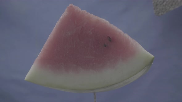Watermelon Rotating with Loop on Blue Screen for Chroma Key