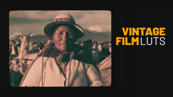 Vintage Film Color LUTs alt