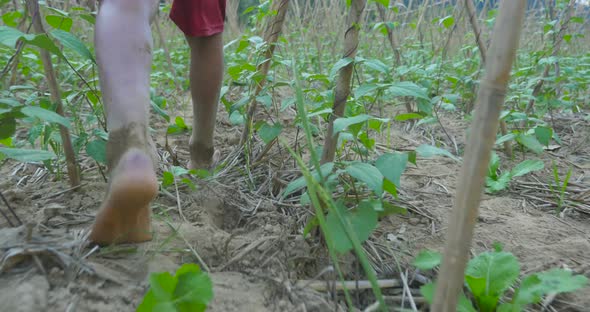 Boy's Legs Walking In Garden